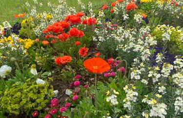 Schöne Wohnung in der Altstadt - Foto 64