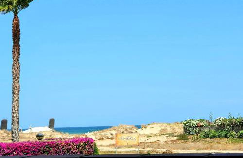 Apartamento con piscina en Oliva Nova - Foto 12