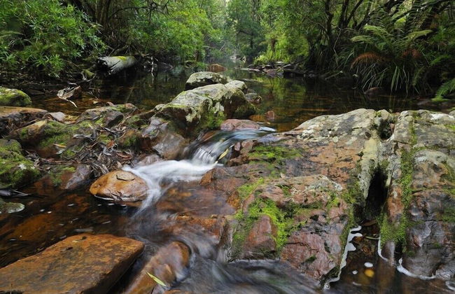 Allambi Holiday Apartments - Foto 20