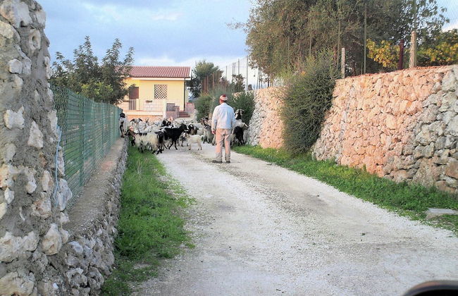 House With Panoramic Terrace, Near the Sea and the City of Syracuse - Foto 27