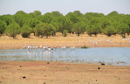 Sesmarias Turismo Rural & SPA - Foto 37