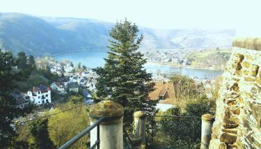 Little Rhine View Château - EG Apartment - Foto 3, Garden