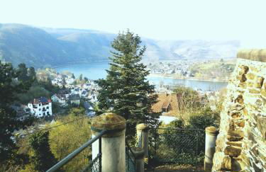 Little Rhine View Château - EG Apartment - Foto 3