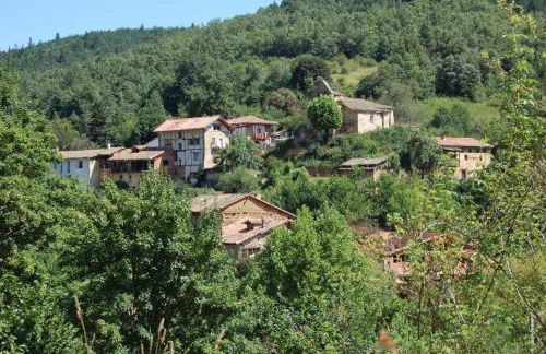 El Abrigaño del Cañón - Photo 67