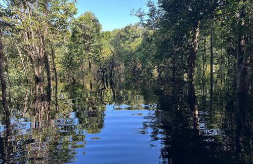 Casa ampla com jardim e 3 suítes em Novo Airão - Foto 41