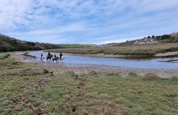 Hidden Gem near the beach with pool table - Foto 34