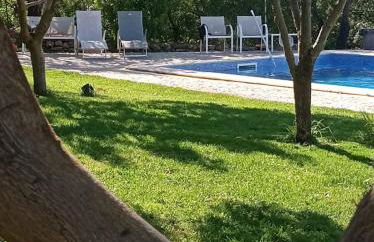 Monte Papa Figos - Foto 1