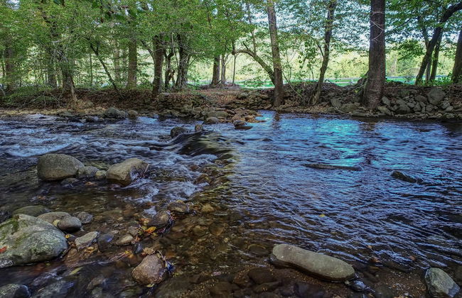 Sweet - 2 Bedrooms, 2 Baths, Sleeps 6 Cabin by RedAwning - Foto 20