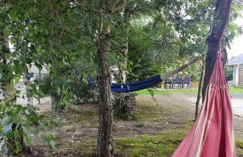 Dom Geografów - Foto 29