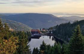 Badischer Neubau-Ruhe-Kunst-Natur - Foto 33