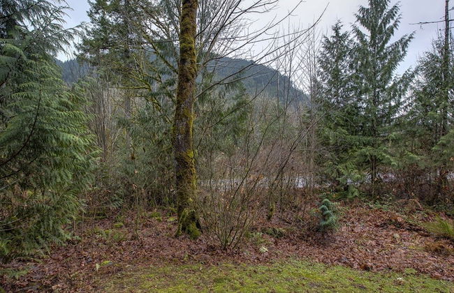 20GS - WiFi - F/P - W/D - Sleeps 6 - Foto 21