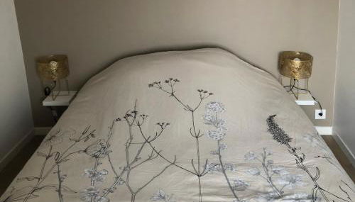 Agréable T2 au centre de Dijon - Foto 5