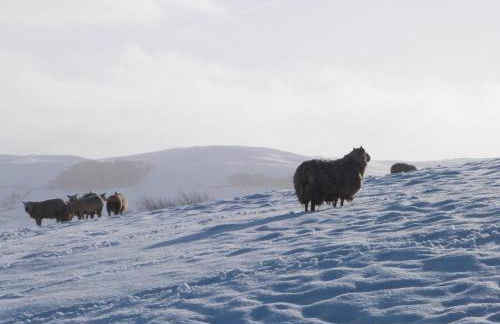 Apartment 24 - Foto 14