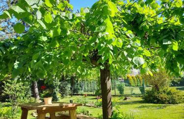 Agroturystyka Stokrotka - Foto 7