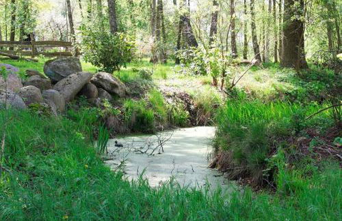 Hof Esterau - Appartment gelb - Foto 11