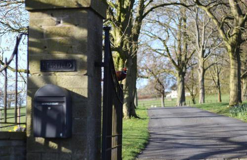 Spacious and bright 1 - bedroom rental unit - Photo 11