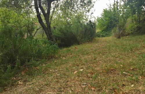 Villino I Balzi - Foto 19