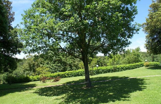 Beautiful Apartment With Private Terrace and Panoramic Swimming Pool - Foto 18