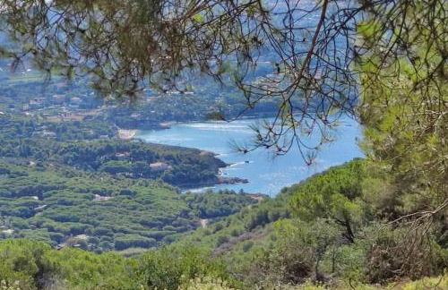 Casa vacanze il Pastore Tedesco - Foto 16