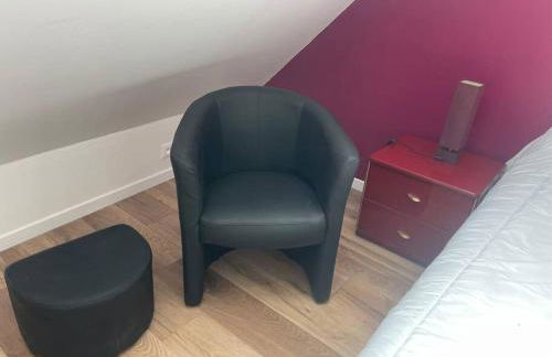 Maison Le grand sapin , 5min du zoo parc de Beauval - Foto 35