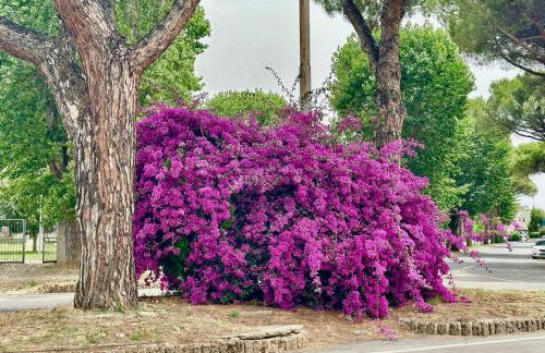 CASA MILA White - Foto 52