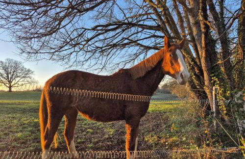 Charming House between Lot & Dordogne with Private Pool - Foto 73
