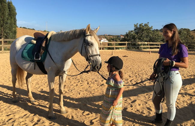 Tons da Terra - Foto 72