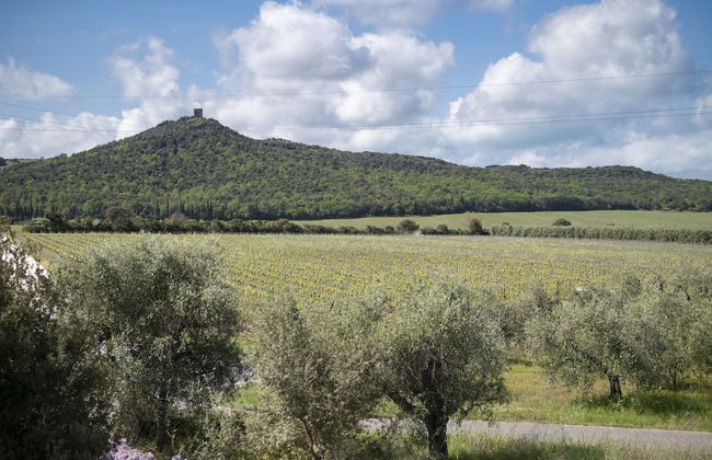 Il Cru di Vignanova - Photo 60