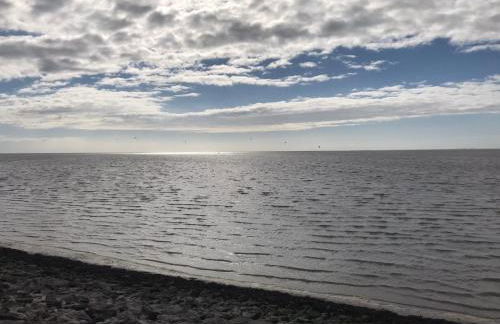 Minsener Warft - Photo 39