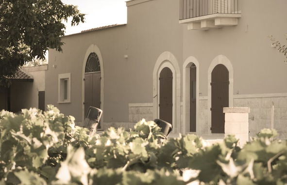 Tenuta Vigna Del Noce - Photo 31