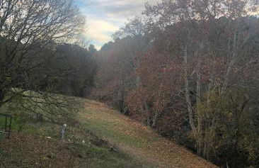 L'Olivier Fleurie Barjols - Foto 74