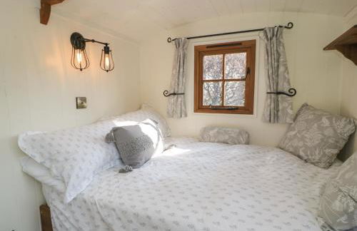 Old Ty'n Y Wern - Foto 24