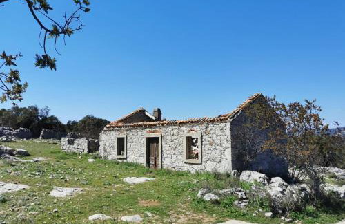 Guesthouse Stivan (920) - Foto 35