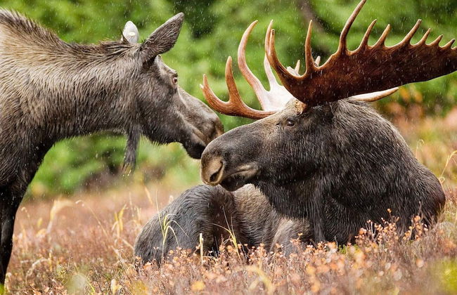 4 Person Holiday Home in Karlsborg - Photo 6