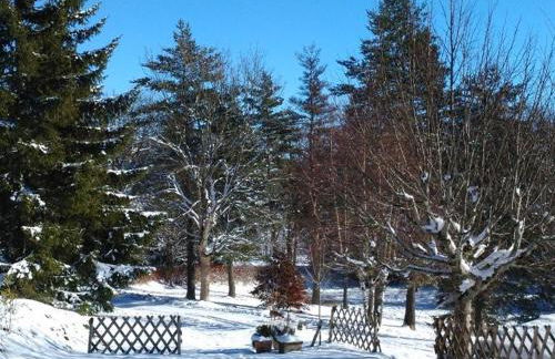Gîte Nature au Chambon-sur-Lignon: Terrasse, Wifi, Proche Activités et Commerces - FR-1-582-137 - Foto 9