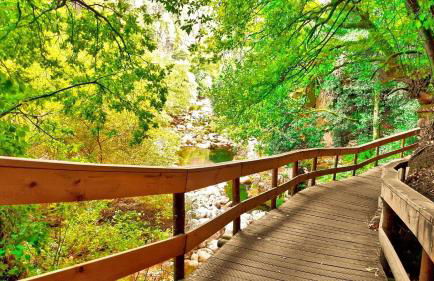 Casa da Laurinha - Foto 30