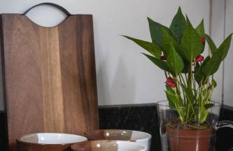 Recanto dos Passaros - Wifi Garagem Gourmet - Foto 24