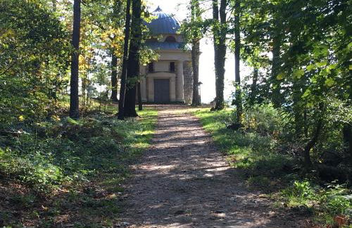 Ferienwohnung Möckel - Foto 21