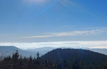 Whirlpool, Billiard, Sauna! Ferienhaus Lacher - Photo 13