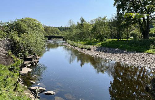 Bracken Cottage - Photo 22