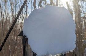 Gartenblick - Foto 51