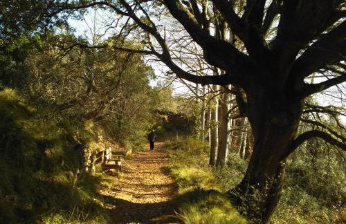 Natura Jordan - Foto 53