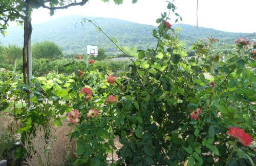 Country House Speedy - Foto 7