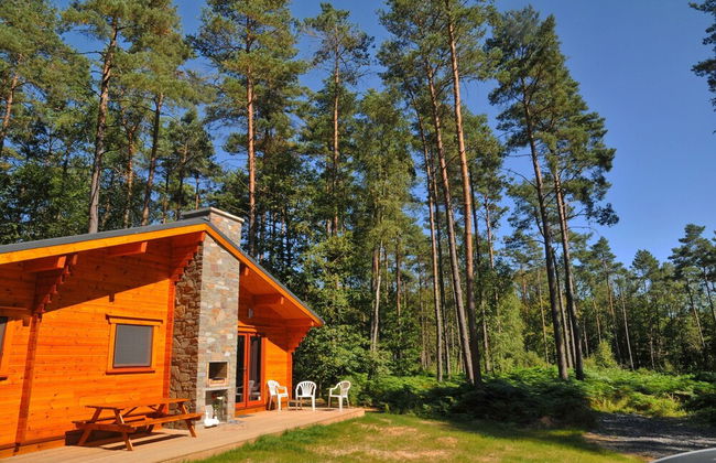 Chalet in Oignies With Wooded Surroundings - Foto 34