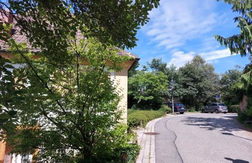 Haus Am Stadtschloss FeWo 3 Zimmer Küche Bad - Foto 28