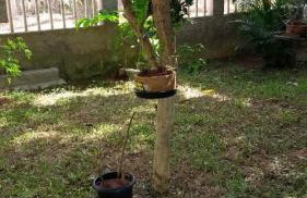 Casinha de Setiba - Foto 21