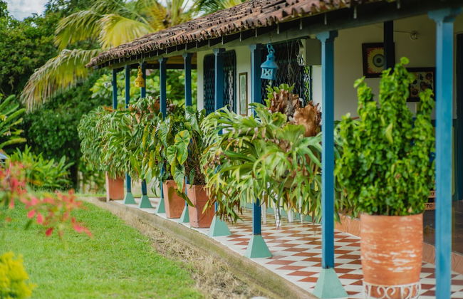 Hacienda Araucaria Habitacion 10 - Photo 8