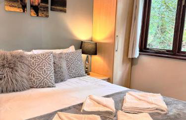 Wren 21-Hot Tub-Woodland Lodges-Tenby-Camarthenshire - Foto 1