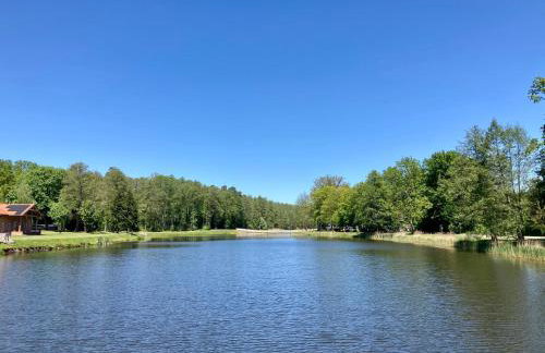 Góra Spokoju Osada klimatyczna-leśna - Foto 29