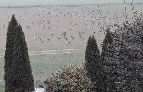 Ferienwohnung Niederrhein Blick - Foto 26